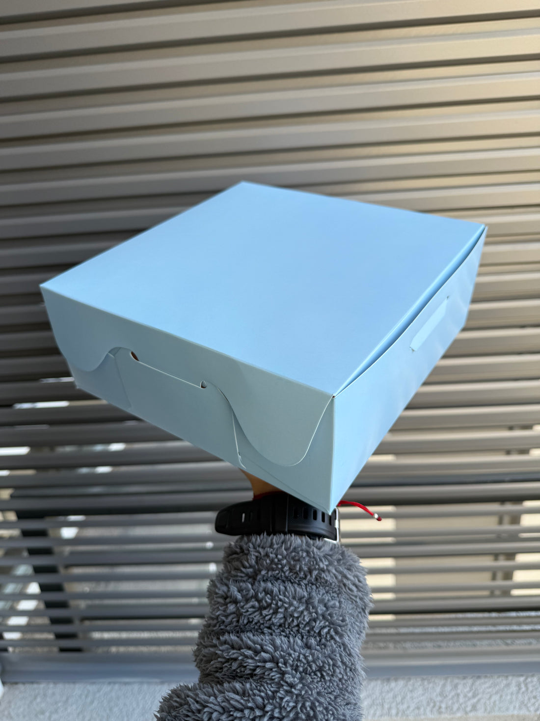 Cajas 24x24x10cm UNICOLOR