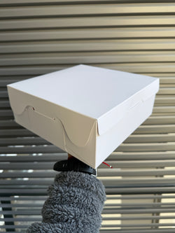 Cajas 24x24x10cm UNICOLOR